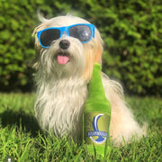 Steam Wiggle Eco-Friendly Dog Toy